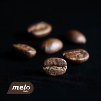 قهوه نیکاراگوئه ملو ۱۰۰ درصد عربیکا(۲۵۰گرمی)