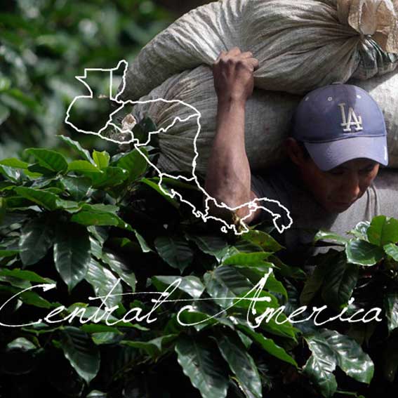 تاریخچه قهوه آمریکای مرکزی