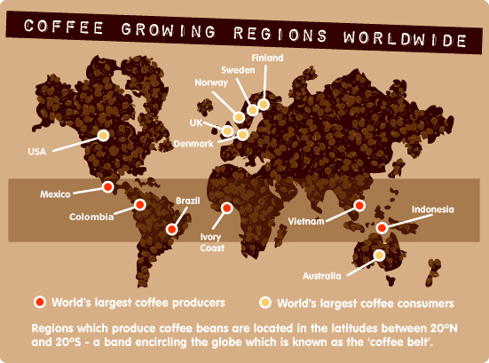 نمودار نواحی رشد قهوه در جهان