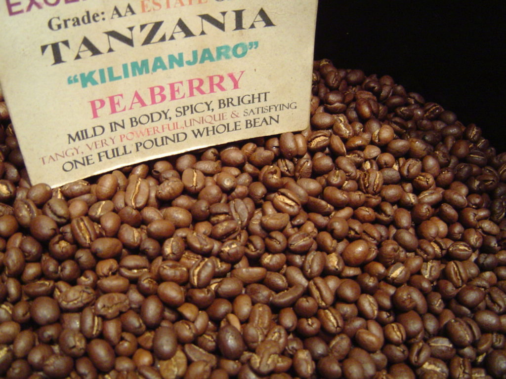 قهوه peaberry تانزانیا
