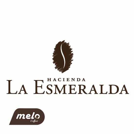 قهوه Hacienda La Esmeralda