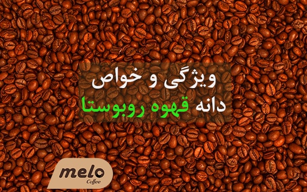 خواص قهوه robusta